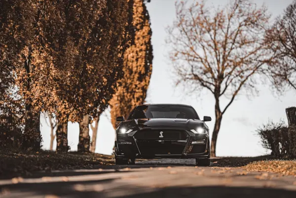 スーパーノペア カジノ Android/iOS アプリ